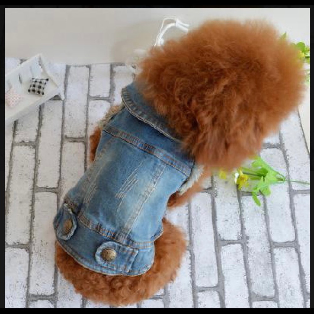 🐾 Denim Vest For Dogs 🐾